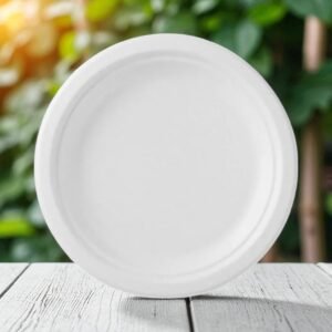 PLATO EN BAGAZO DE CAÑA 15.5 CMS