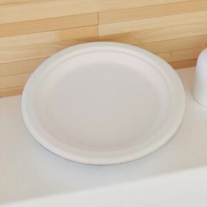 PLATO EN BAGAZO DE CAÑA 23 CMS