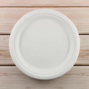 PLATO EN BAGAZO DE CAÑA 26 CMS